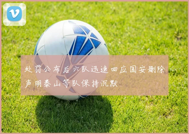 处罚公布后六队迅速回应国安删除声明泰山等队保持沉默